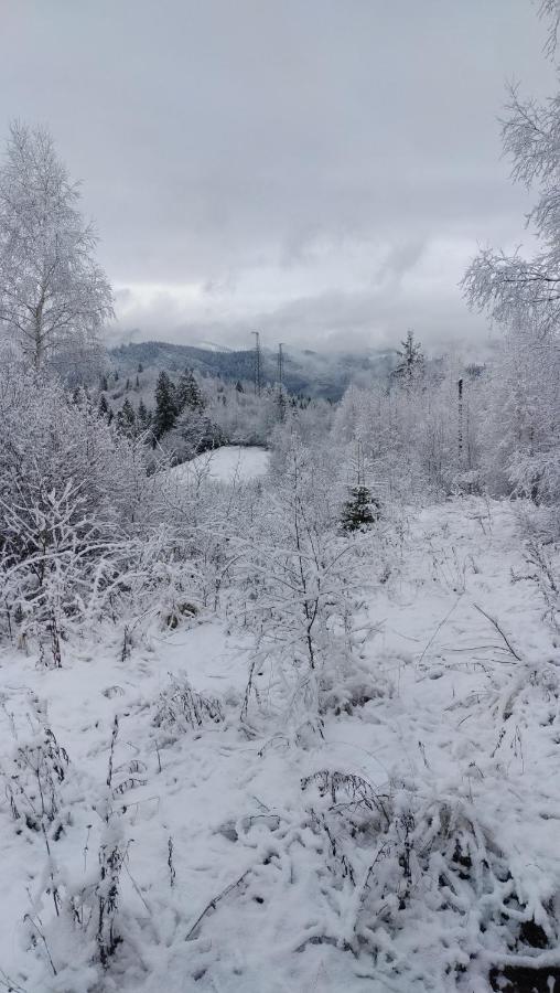 Zacharovany Karpaty Slavske Exterior photo